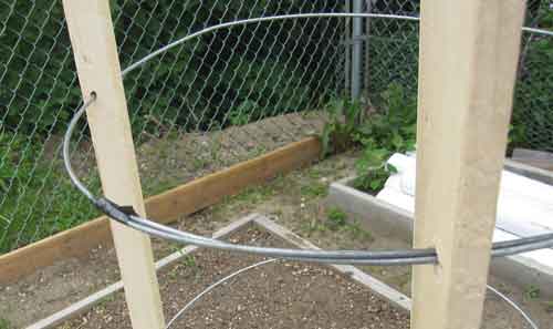 tomato cage support wire